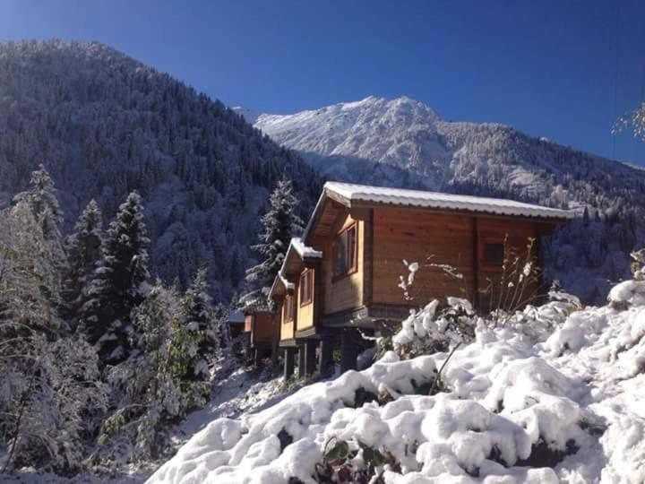 Kardelen Bungalov Evleri̇ Villa Ayder Yaylasi Luaran gambar