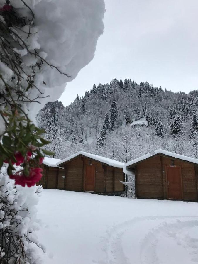 Kardelen Bungalov Evleri̇ Villa Ayder Yaylasi Luaran gambar