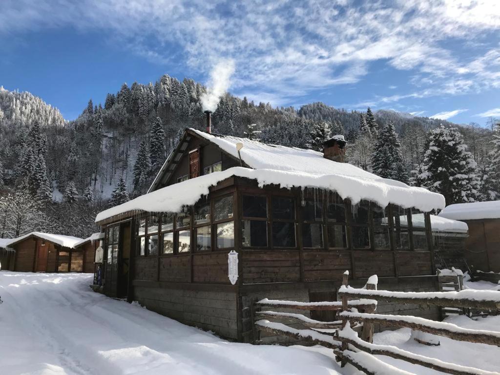 Kardelen Bungalov Evleri̇ Villa Ayder Yaylasi Luaran gambar