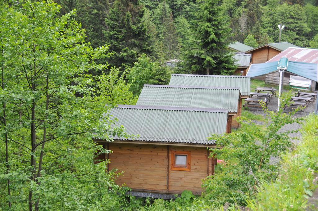 Kardelen Bungalov Evleri̇ Villa Ayder Yaylasi Bilik gambar