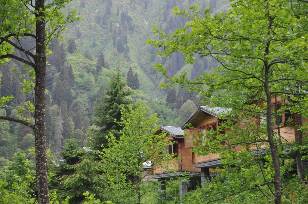 Kardelen Bungalov Evleri̇ Villa Ayder Yaylasi Bilik gambar