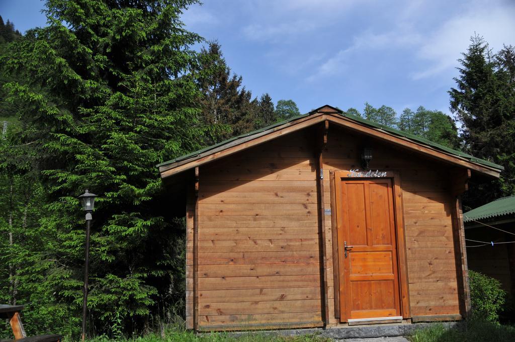 Kardelen Bungalov Evleri̇ Villa Ayder Yaylasi Bilik gambar